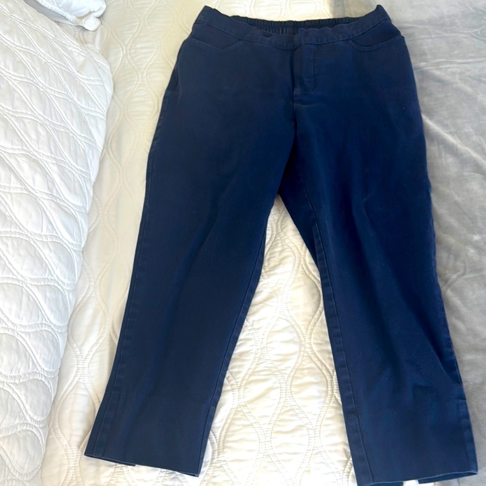 Isaac Mizrahahi Live blue pants